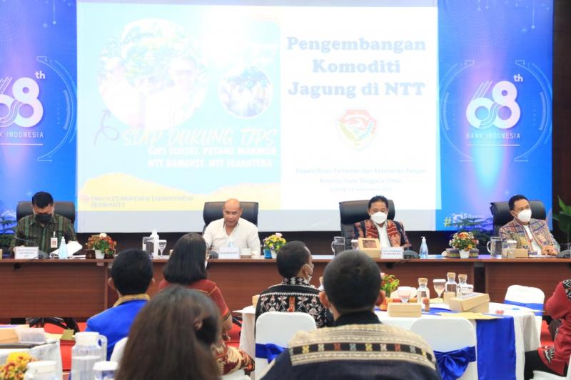 Gubernur NTT Ajak Lembaga Jasa Keuangan Optimalkan Sektor Pertanian