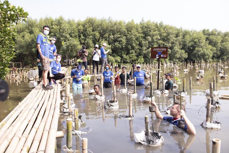   Dukung Konservasi, Enam Duta Besar Eropa Tanam 75 Pohon Mangrove di TWA-Angke