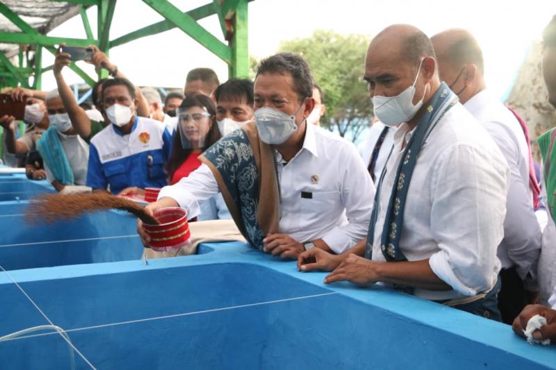 Menteri Kelautan dan Perikanan Minta Produksi Rumput Laut NTT Penuhi Kualitas Standar Ekspor
