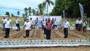  Bank NTT Dorong Anak Muda Jadi Pelopor Penggerak Ekonomi di NTT