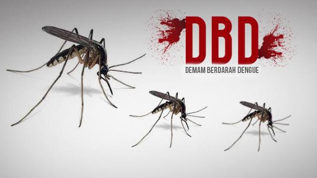 Hingga November 2023, kasus kematian akibat Demam Berdarah (DBD) di Provinsi Nusa Tenggara Timur (NTT) mencapai 12 kematian dengan 1.995 penderita.