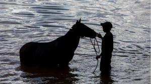 Polisi Tahan Pelaku Pencurian Kuda di Rote Barat