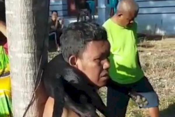 Polisi Amankan Pencuri Anjing Pakai Potasium di Kupang