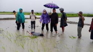 Petani di TTS Tewas Disambar Petir saat Tanam Padi di Sawah