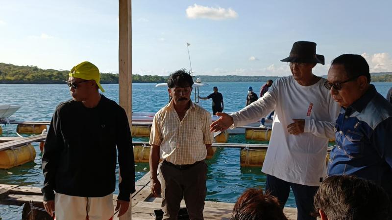 Budidaya Lobster di Mulut Seribu Pulau Rote Ndao, Tahun Depan Panen Perdana