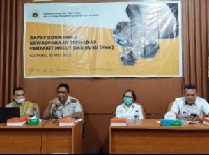 Antisipasi PMK, NTT Batasi Pasokan ternak dan Tutup Sementara Pintu Masuk Ternak