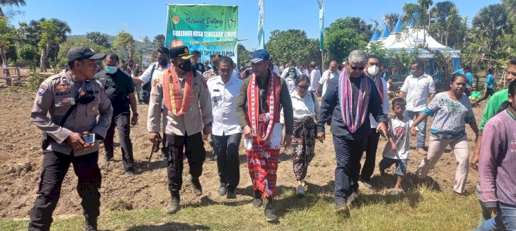 Gubernur NTT-Kapolres Kupang Tanam Jagung di Lahan 10 Hektar