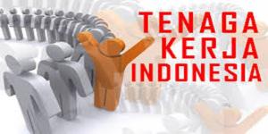 Delapan PMI Bersama Keluarga Asal NTT Dipulangkan dari Malaysia ke Kampung Halaman