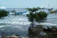  Waspadai Gelombang Pasang, Warga Pesisir di Teluk Kupang Bersiaga 
