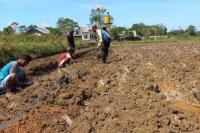 Kisah Polisi di Pedalaman Sumba Barat yang Berdayakan Masyarakat Kelola Lahan Pertanian