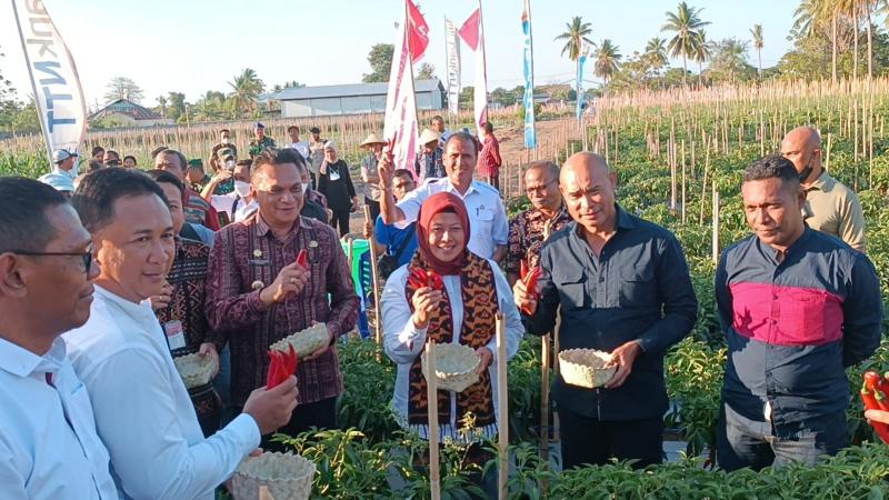 Aplikasi B Pung Petani Karya Bank NTT-Pemprov NTT, Solusi Ampuh Cegah Inflasi dan Krisis Pangan