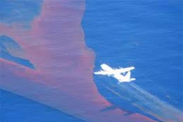 Ferdi Tanoni Beberkan Pesawat Australia Semprotkan Bubuk Kimia Beracun di Laut Timor