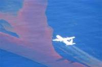 Ferdi Tanoni Beberkan Pesawat Australia Semprotkan Bubuk Kimia Beracun di Laut Timor
