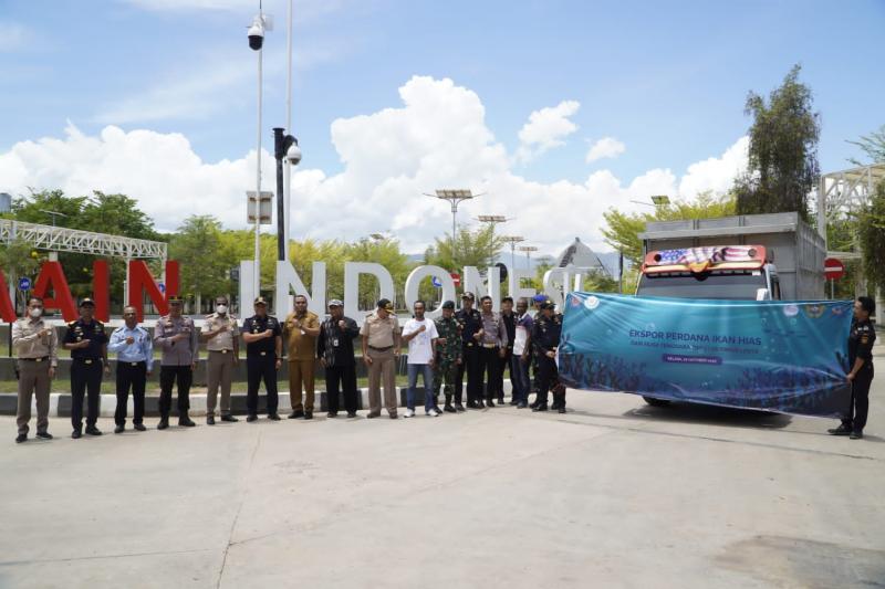  Perdana, Bea Cukai Atambua Ekspor  1.415 Ekor Ikan Hias ke Timor Leste