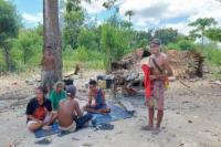 Belasan Rumah Dibongkar Pemprov NTT, Puluhan Anak dan Lansia di Besipae TTS Tidur di Hutan 
