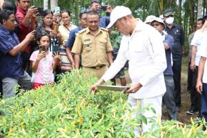 Gubernur NTT Minta Masyarakat Sumba Barat Daya Kembangkan Tanaman Hortikultura 