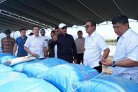 Kunker ke Kupang, Menteri Kelautan dan Perikanan Tinjau Tambak Garam di Nunkurus