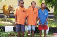 Enam Komplotan Pelaku Pencurian Ternak di Kabupaten Kupang Dibekuk Polisi