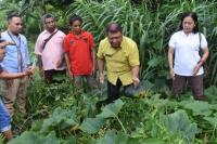 Sekda Kota Kupang Puji Dinas P3A Kota Kupang Manfaatkan Lahan Kosong di Naioni