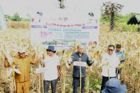  Program TJPS Antar Wirausahawan Mandiri di Lembata Raih Untung Hingga Rp 12 Juta 