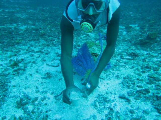 Jalan panjang perjuangan petaka kasus Montara yang mencemari Laut Timor sejak Oktober 2009 silam, belum banyak diketahui publik. Bagaimana suka, duka dan perjuangan yang penuh dengan air mata akan dikisahkan oleh Ketua Yayasan Peduli Timor Barat, Ferdi Tanoni secara berseri.