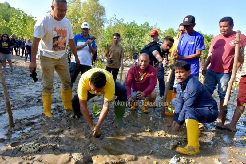 Penjabat Wali Kota Kupang dan Rektor Undana Tanam Bakau di Pantai Oesapa