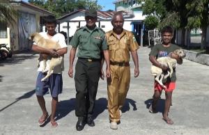 Warga TTS Antusias Bawa Anjing untuk Disuntik Anti Rabies