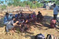 Mau Diberangkatkan ke Kalimantan, Calon PMI Ilegal Diamankan Polisi di Rumah Warga