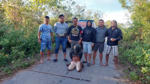 Polisi Ringkus Residivis Spesialis Pencuri Ternak di Sumba Timur
