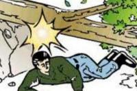 Pohon Gewang Tumbang di TTS Makan Korban, Ayah dan Anak Tewas di Tempat Tertimpa Batang Pohon