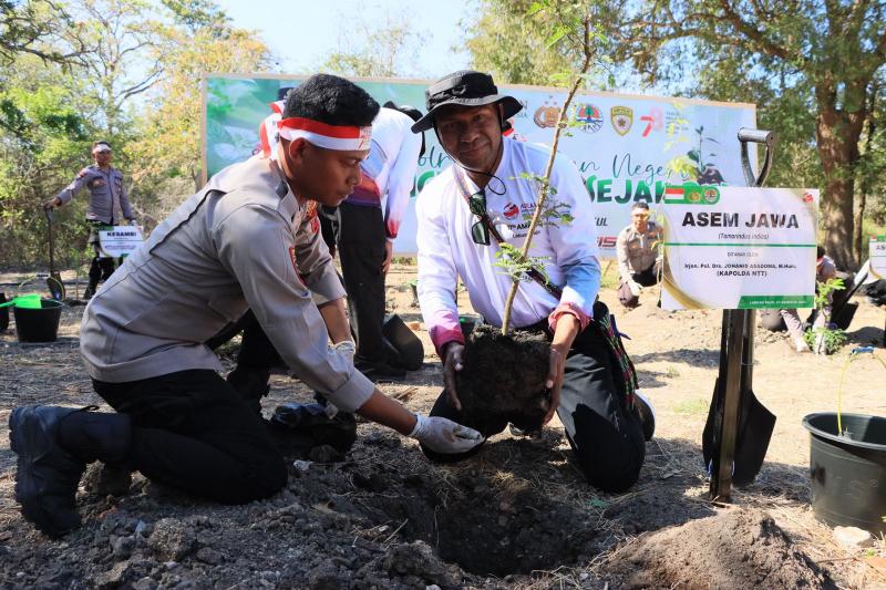 Delegasi AMMTC dan Kapolda NTT Tanam Pohon di Pulau Rinca