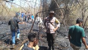 Kawasan Hutan Lindung di Kabupaten Kupang Dilalap Si Jago Merah