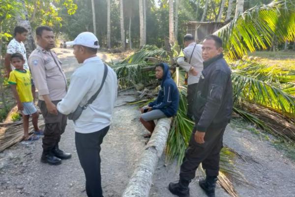 Nasib nahas dialami seorang siswa SMA di Kabupaten Kupang. Elu Januar Liu (17), siswa SMA yang adalah warga RT 004/RW 02, Dusun I, Desa Oenoni II, Kecamatan Amarasi, Kabupaten Kupang, tewas tertimpa pohon kelapa.