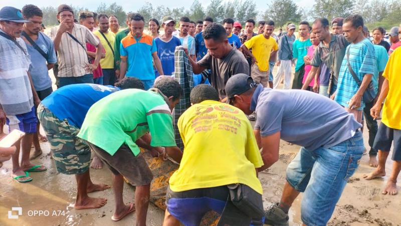 Warga TTS Tewas Dimangsa Buaya saat Menangkap Ikan di Pantai Oetune