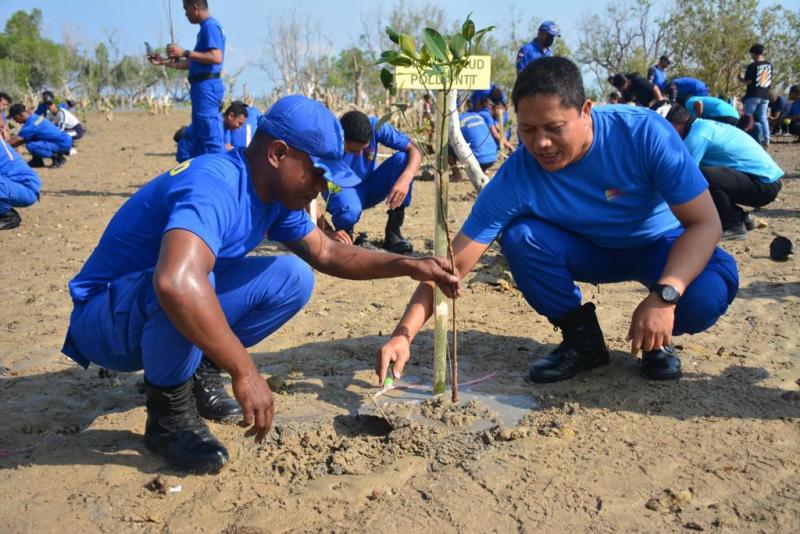 Anggota Ditpolairud Polda NTT Tanam Mangrove dan Bersih-bersih Pantai