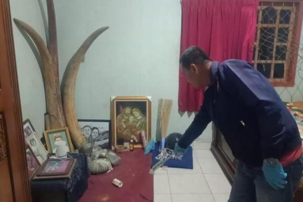 Dua batang gading milik Petrus Philipus Maudong Da Silva (54) hilang diambil orang tidak dikenal di rumah Petrus di Dusun Bao Loran, RT 016/RW 008, Desa Nita, Kecamatan Nita, Kabupaten Sikka.