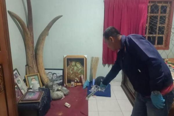 Anggota Polres Sikka dan Polsek Nita saat melakukan olah TKP di kediaman Petrus Philipus Maudong Da Silva terkait kasus pencurian gading Desa Nita, Kecamatan Nita, Kabupaten Sikka, Minggu (26/11/2023). 