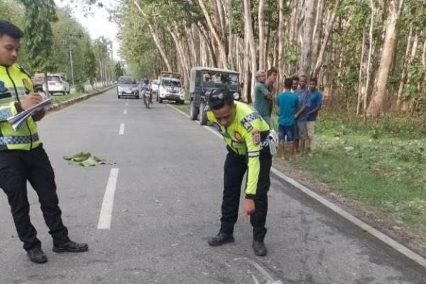 Lakalantas di Belu Avanza vs Dump Truk, Pensiunan ASN Luka