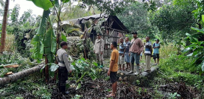 Bencana alam akibat hujan dan angin di wilayah Amfoang, Kabupaten Kupang makan korban. Satu pohon tumbang mengenai rumah Markus Lakusaba di RT 11/R 06, Dusun III, Desa Oelfatu, Kecamatan Amfoang Barat Laut, Kabupaten Kupang, Rabu (13/3/2024).