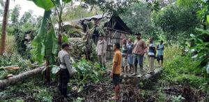 Bocah di Oelfatu-Amfoang Barat Laut Tewas Tertindih Pohon Kelapa 