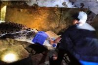 Lima Warga NTT Tewas Dimangsa Buaya Selama Tahun 2023