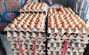 Harga Telur Ayam di Pasar Kota Atambua Mengalami Kenaikan 