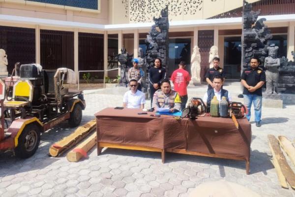 Tebang Pohon Jati Dalam Kawasan Hutan Lindung, Warga Rote Barat Daya Jadi Tersangka