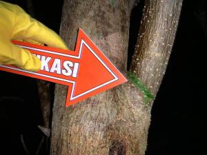 Mantan TKI di Kuatnana-TTS Nekat Gantung Diri Pasca Istri Tewas saat Lakalantas 