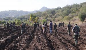 Tingkatkan Ketahanan Pangan, Kodim Belu Tanam Jagung di Lahan Food Estate