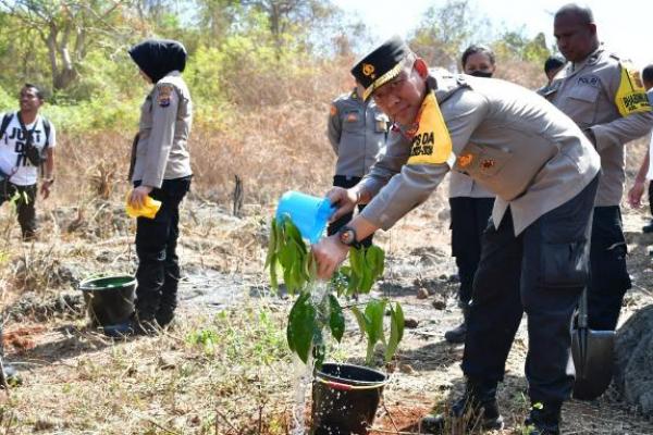 Polda NTT menanam ribuan pohon secara serentak pada Kamis (27/6/2024). Penanaman aneka pohon ini dilakukan dalam rangka peringatan HUT ke-78 Bhayangkara, dipusatkan di Pospol Batuplat, Kecamatan Alak, Kota Kupang.