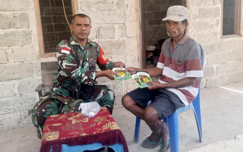 Tingkatkan Ketahanan Pangan, Babinsa Serda Kono Bantu Petani Bibit Tomat