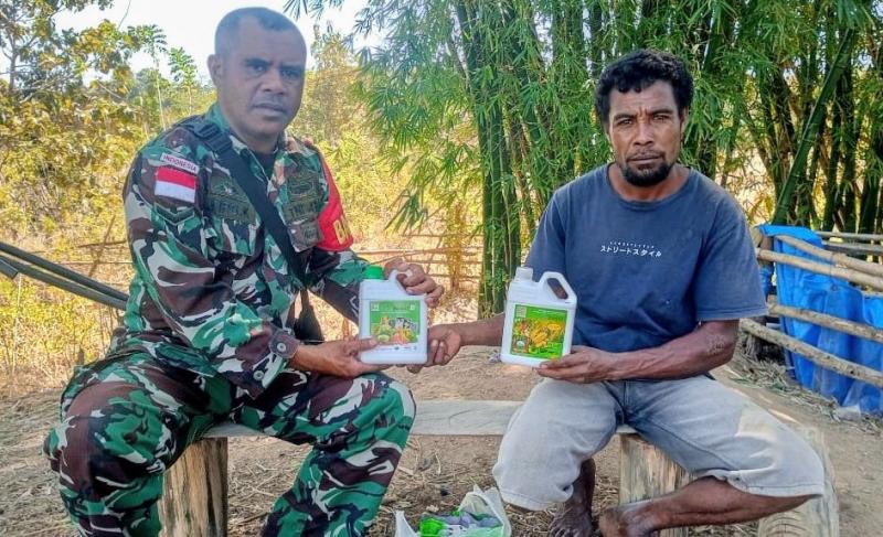 Babinsa Umaklaran Kembali Serahkan Bantuan Pupuk Organik Cair Untuk Petani