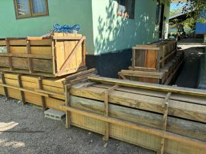 BBKSDA NTT Pindahkan Delapan Ekor Buaya ke Sumatera Selatan