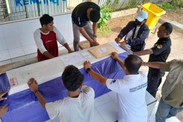  Berakhir Sudah Sepakterjang Spesialis Pencuri Sapi Takluk di Tangan Polres TTU